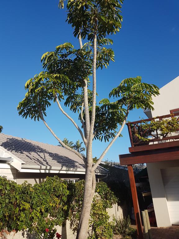 Founders Keepers - Leisure Isle Apartment Knysna Luaran gambar